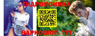 ПСИЛОЦИБИНОВЫЕ ГРИБЫ Нальчик