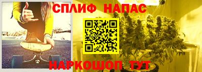 ПСИЛОЦИБИНОВЫЕ ГРИБЫ Нальчик