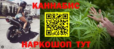 крисы Новозыбков